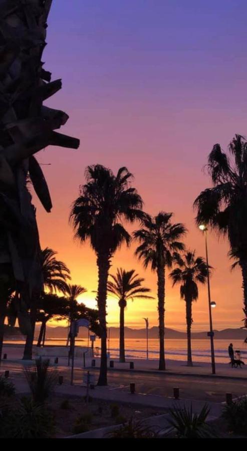 Studio Corniche Daire La Ciotat Dış mekan fotoğraf