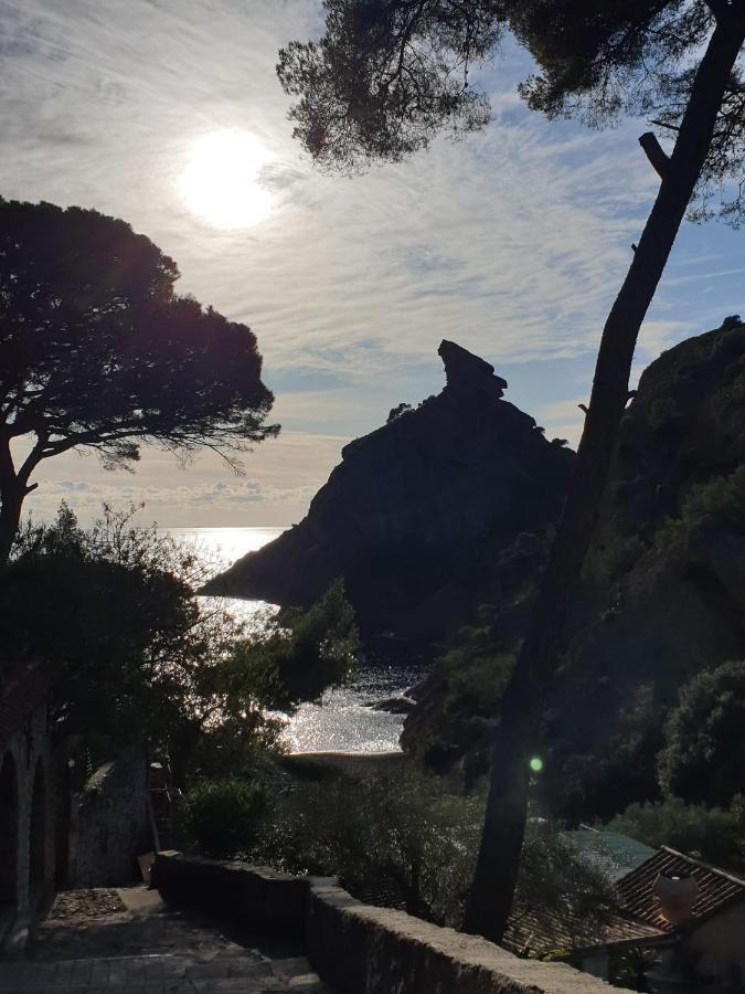 Studio Corniche Daire La Ciotat Dış mekan fotoğraf